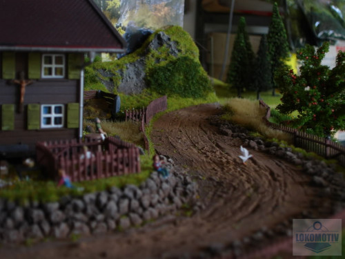 DSC02181.jpg