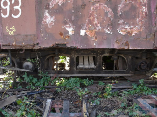 DSC02994.jpg
