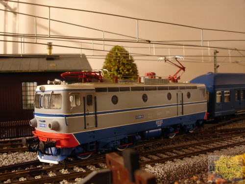 DSC03114.jpg