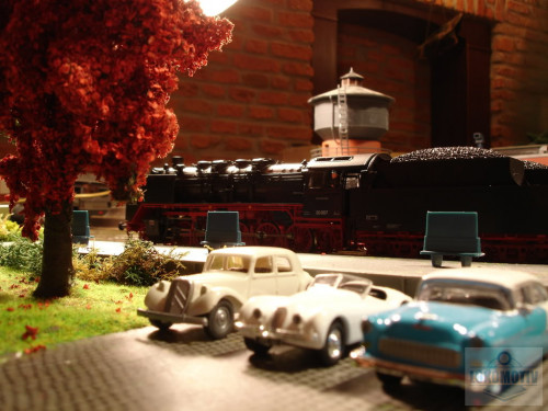 DSC03787.jpg