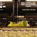 DSC09101