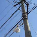DSCF0945