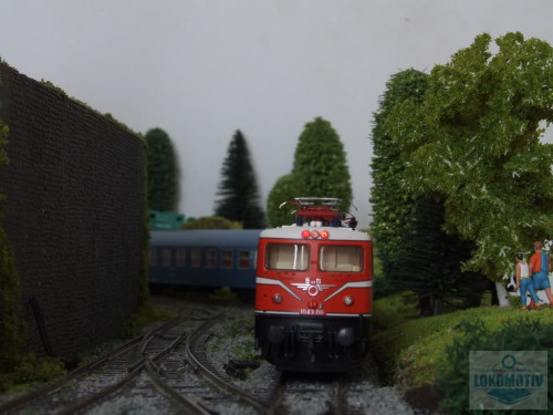 DSCF2531.jpg