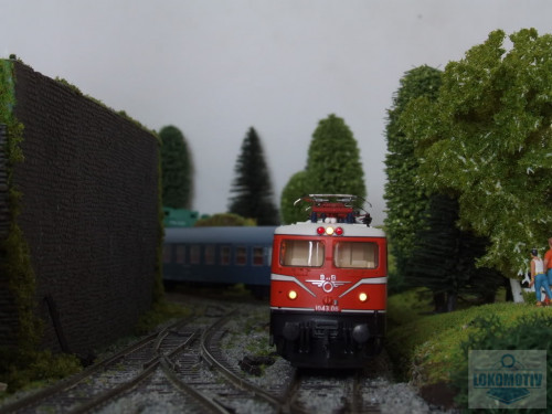 DSCF2532.jpg