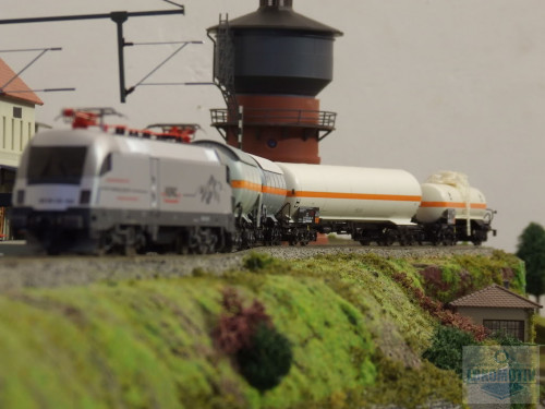 DSCF3711.jpg