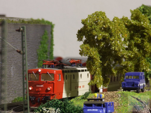 DSCF3879.jpg
