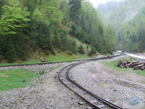 DSCF4657.jpg
