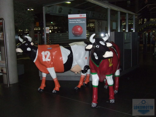 DSCF5791.jpg
