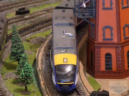 DSCF9301.jpg
