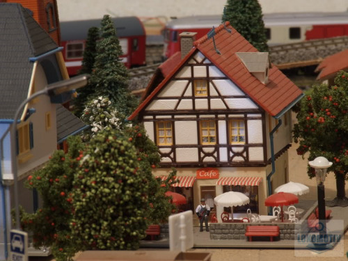 DSCF9328.jpg