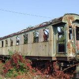 DSCF9492