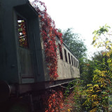 DSCF9510