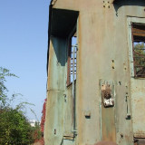 DSCF9517