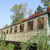 DSCF9527