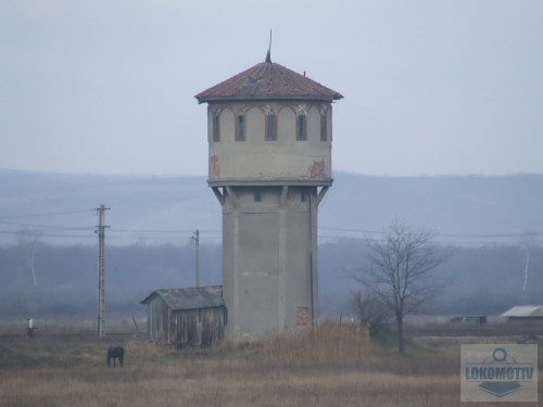DSCF9792