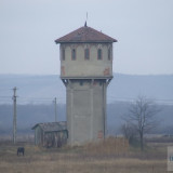 DSCF9792