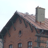 DSCF9801