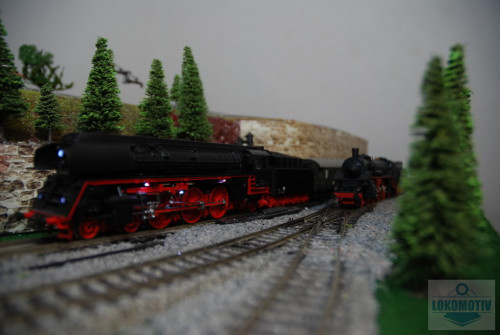 DSC_1216.jpg