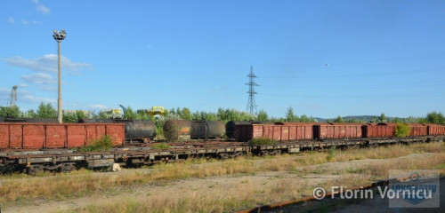 DSC_474720copy.jpg
