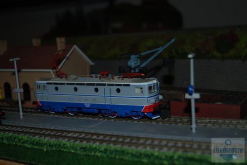DSC_6161.jpg