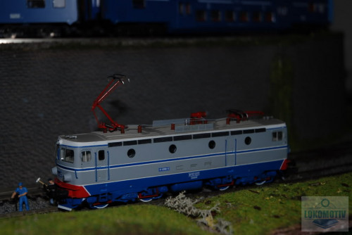 DSC_6166.jpg