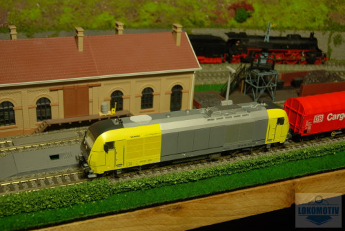 DSC_6204.jpg