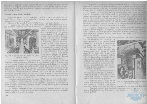 Florin30.jpg
