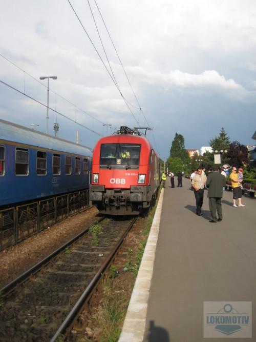 IMG_0338.jpg