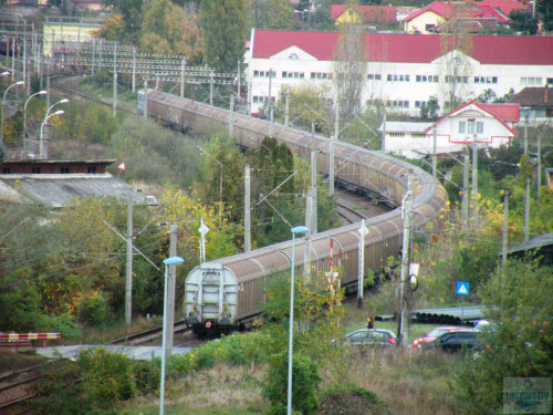 DSCN0029e.jpg