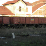 DSCN0472