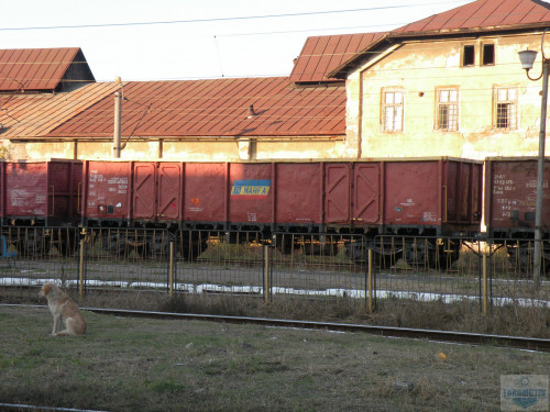 DSCN0476.jpg