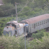 DSCN0537238396658fcebf82