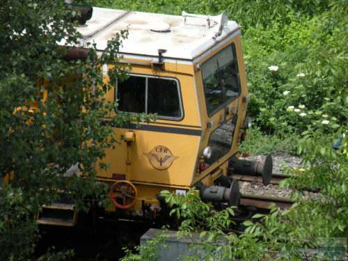 DSCN0698.jpg
