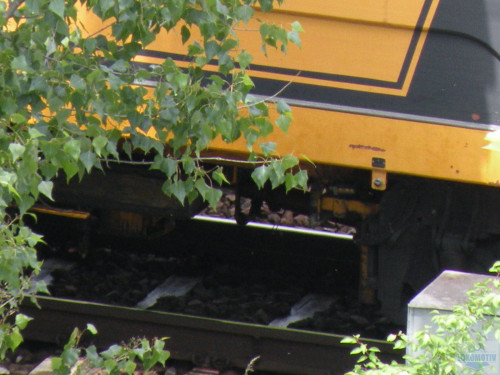 DSCN0699.jpg