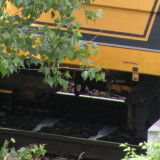DSCN0699