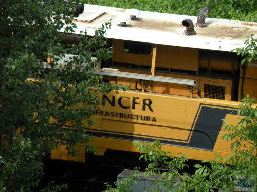 DSCN0700.jpg