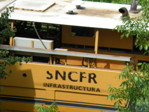 DSCN0701.jpg