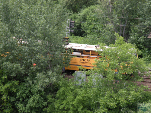 DSCN0702.jpg