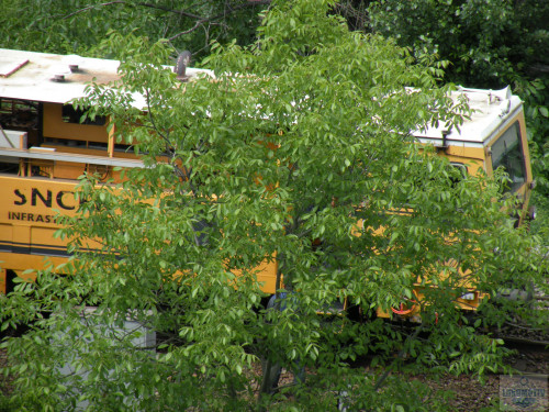 DSCN0703.jpg