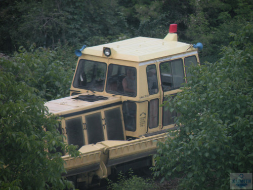DSCN0728.jpg
