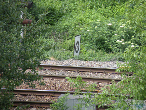 DSCN0734.jpg