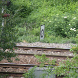 DSCN0734