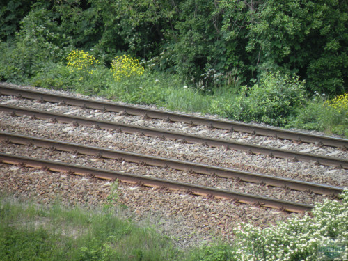 DSCN0735.jpg