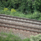 DSCN0735