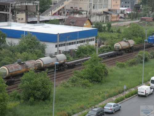 DSCN0817.jpg