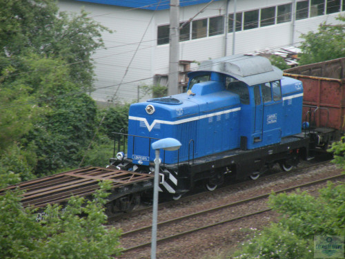 DSCN0818.jpg