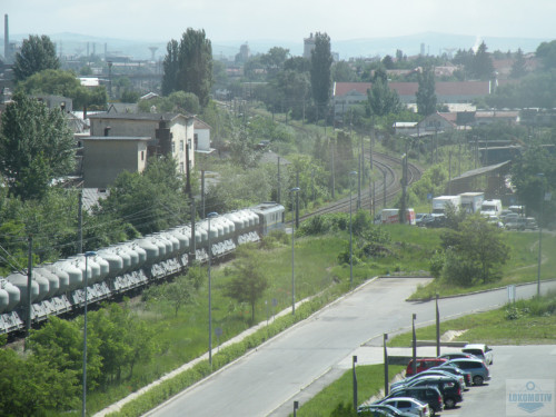 DSCN1002.jpg