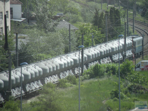 DSCN1003.jpg