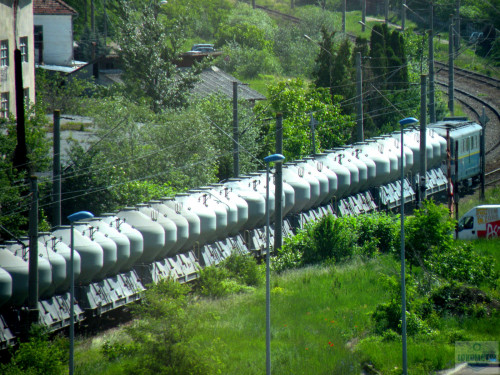 DSCN1003eb.jpg