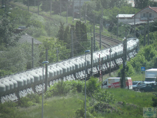 DSCN1004.jpg